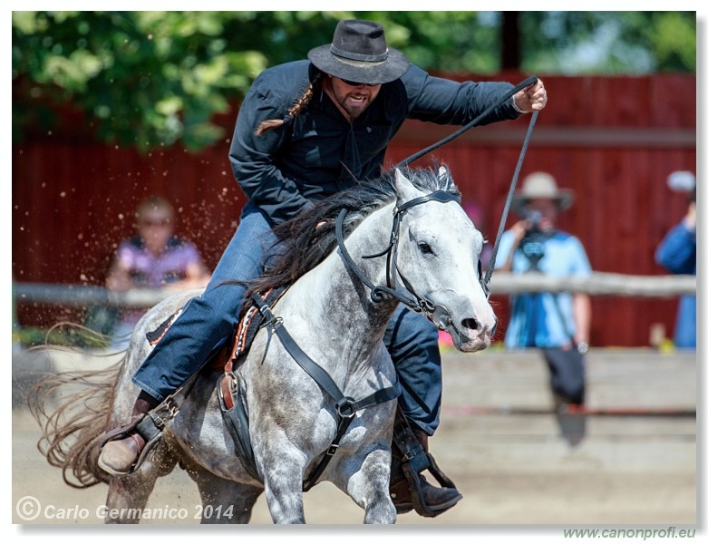 Brie�ky - 14. j�na 2014