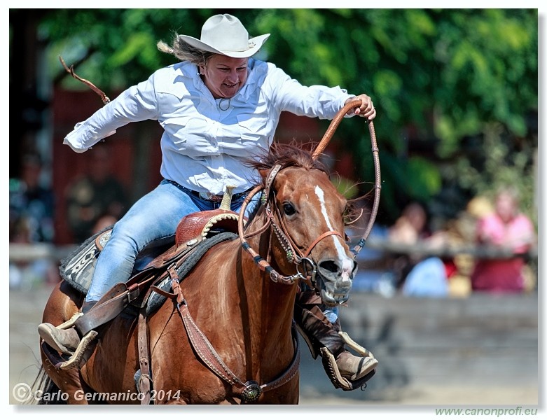 Brie�ky - 14. j�na 2014