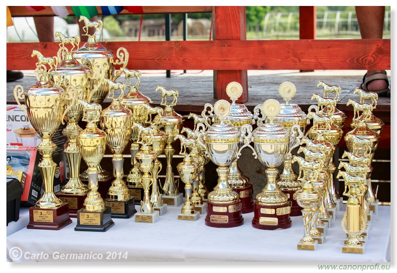 Brie�ky - 14. j�na 2014
