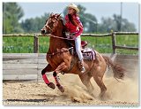 Barrel Race 