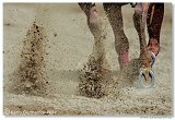 Barrel Race 