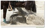 REINING S Open Junior 