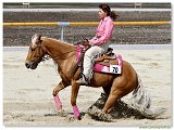 REINING S Open Junior 