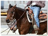 REINING S Open Senior 