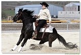 REINING S Open Senior 