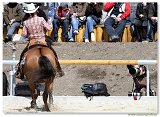 REINING S Open Senior 