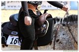 Sl�vnostn� otvorenie are�lu 