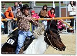 Pole bending Open 