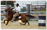 Barrel Race  