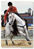 Barrel Race  