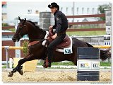 Barrel Race  