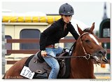 Barrel Race  