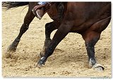 Barrel Race  