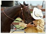 Barrel Race  