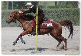 Western Show Pezinok 