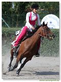 Western Show Pezinok 