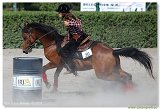 Western Show Pezinok 