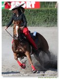Western Show Pezinok 