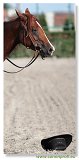 Western Show Pezinok 