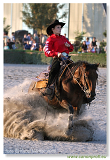 Western 2006