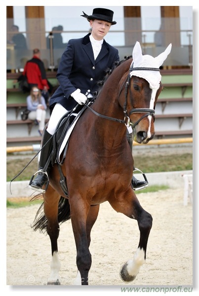 Drezúra - Dressage 2011