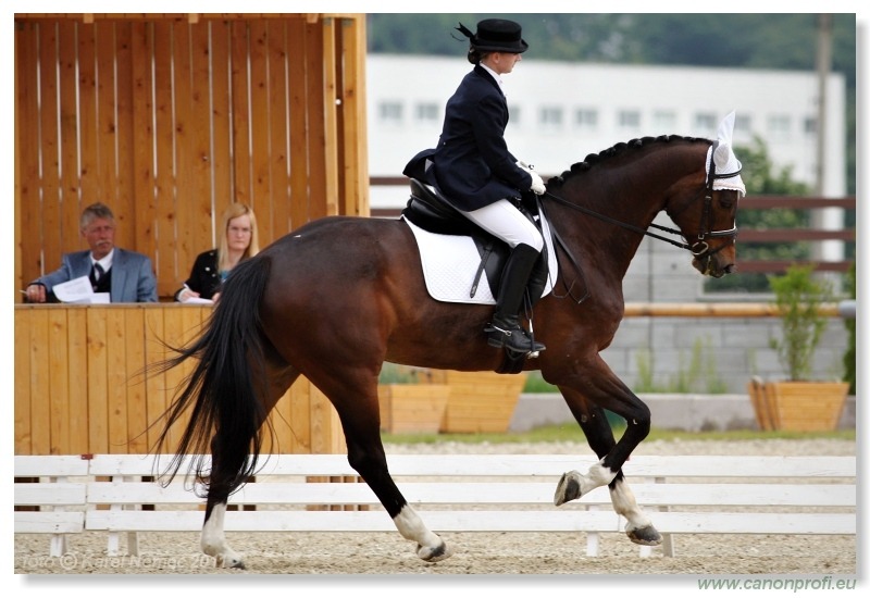 Drezúra - Dressage 2011