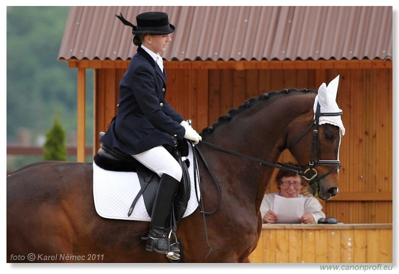 Drezúra - Dressage 2011