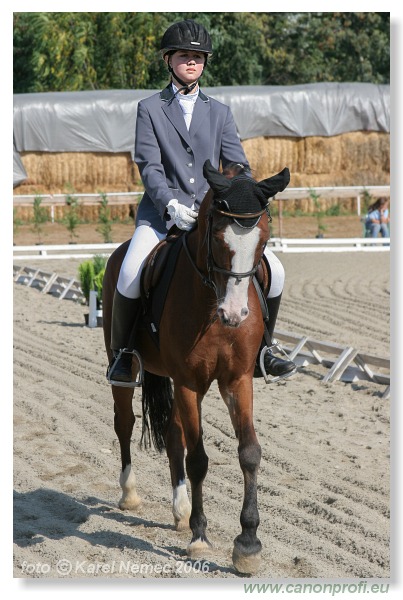 Drezúra - Dressage 2006