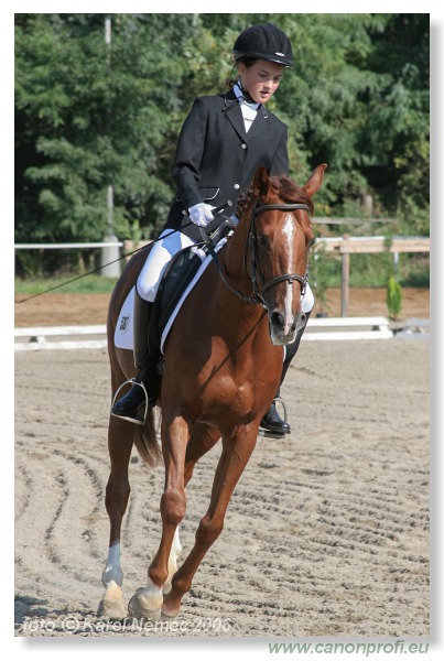 Drezúra - Dressage 2006