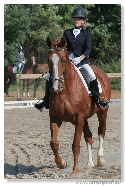 Drezúra - Dressage 2006