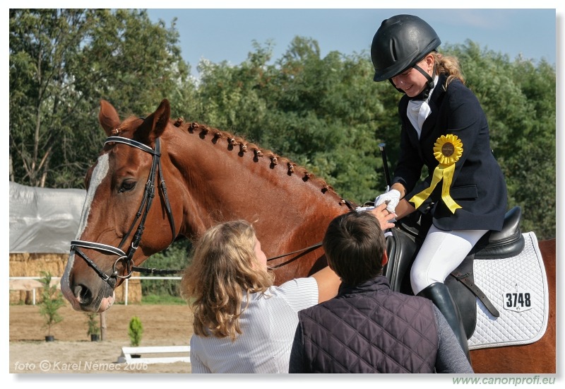 Drezúra - Dressage 2006