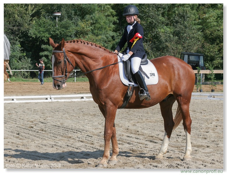 Drezúra - Dressage 2006