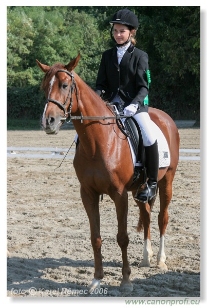 Drezúra - Dressage 2006