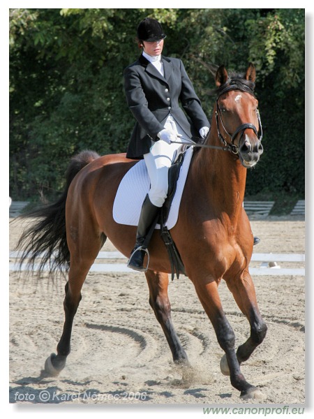 Drezúra - Dressage 2006