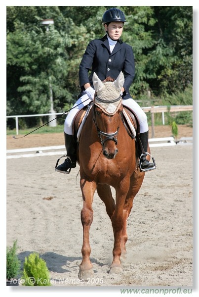 Drezúra - Dressage 2006