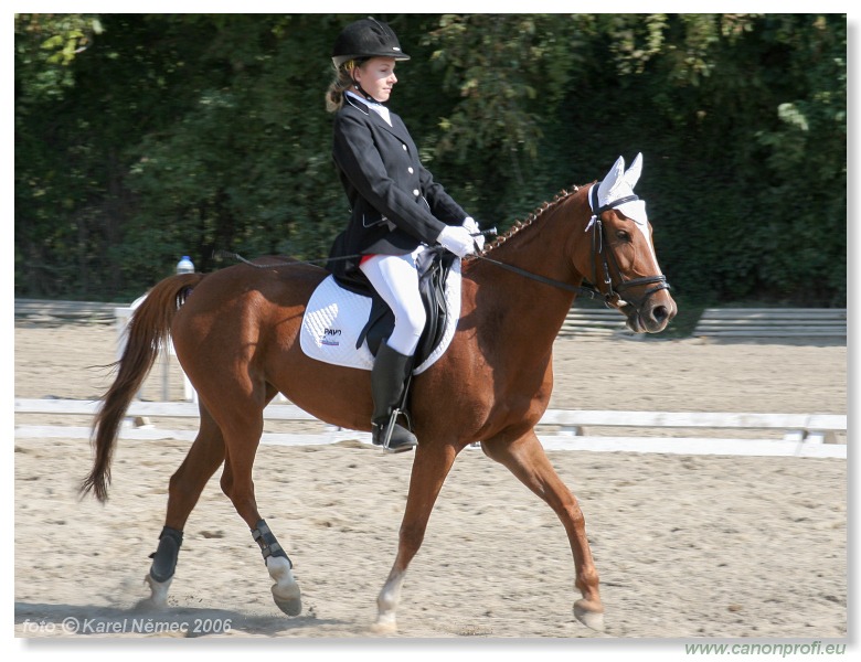 Drezúra - Dressage 2006