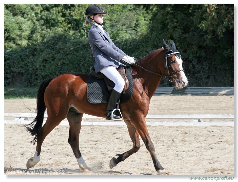 Drezúra - Dressage 2006