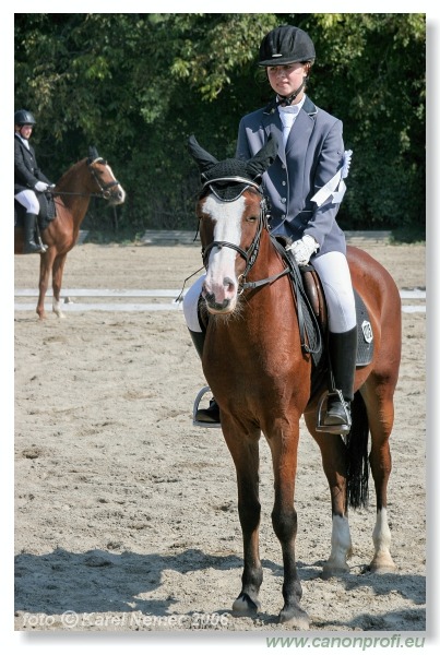 Drezúra - Dressage 2006