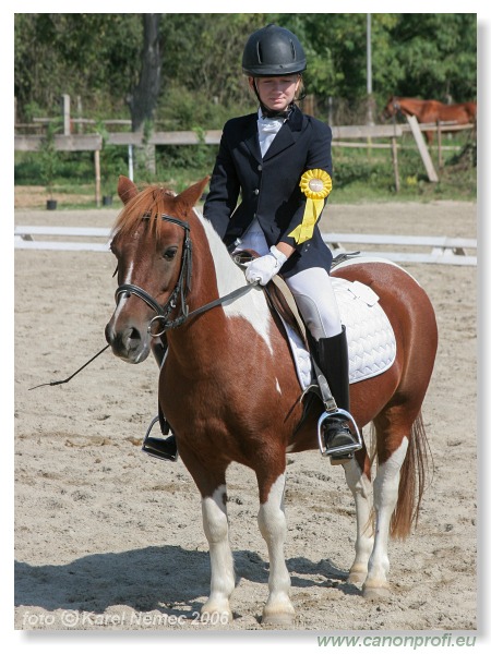 Drezúra - Dressage 2006