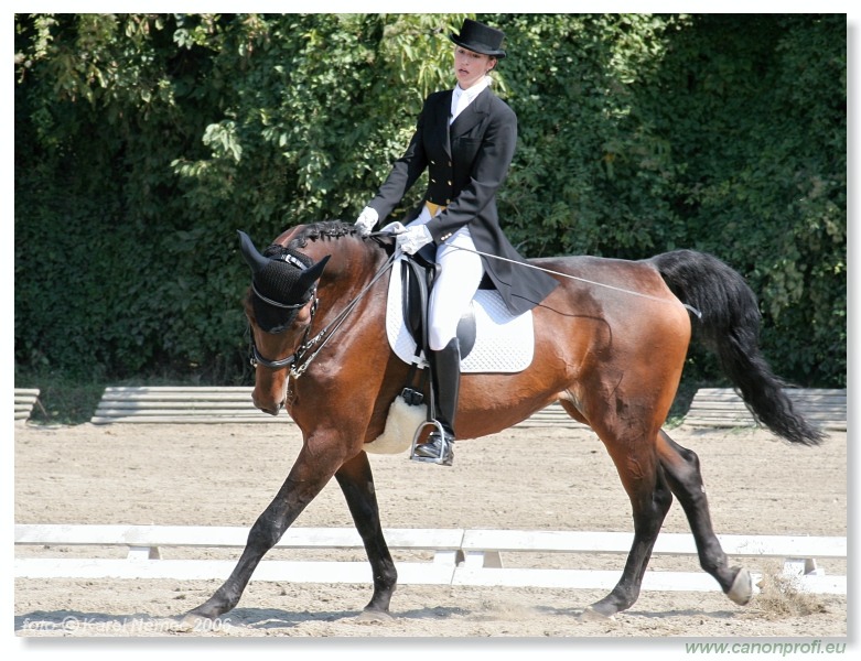 Drezúra - Dressage 2006