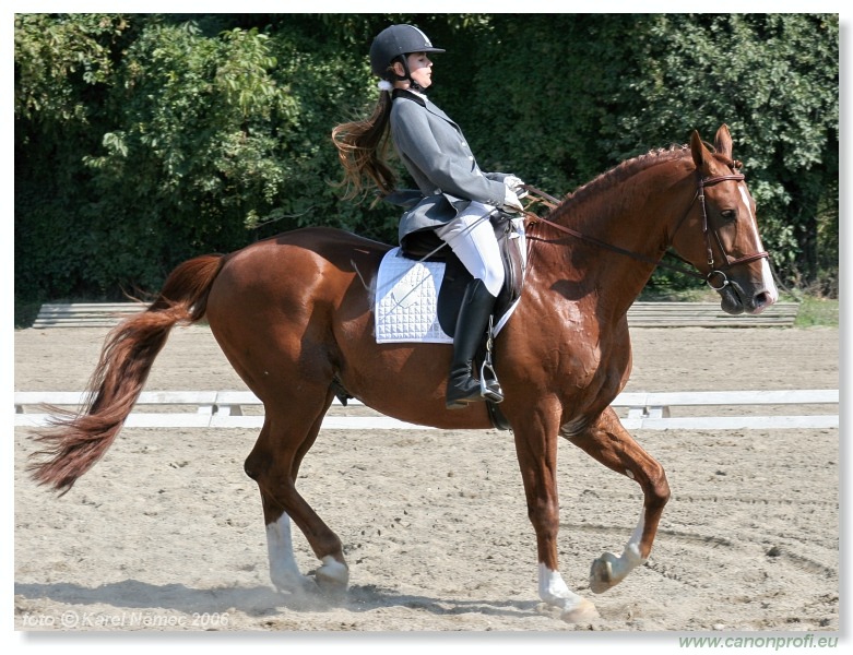 Drezúra - Dressage 2006