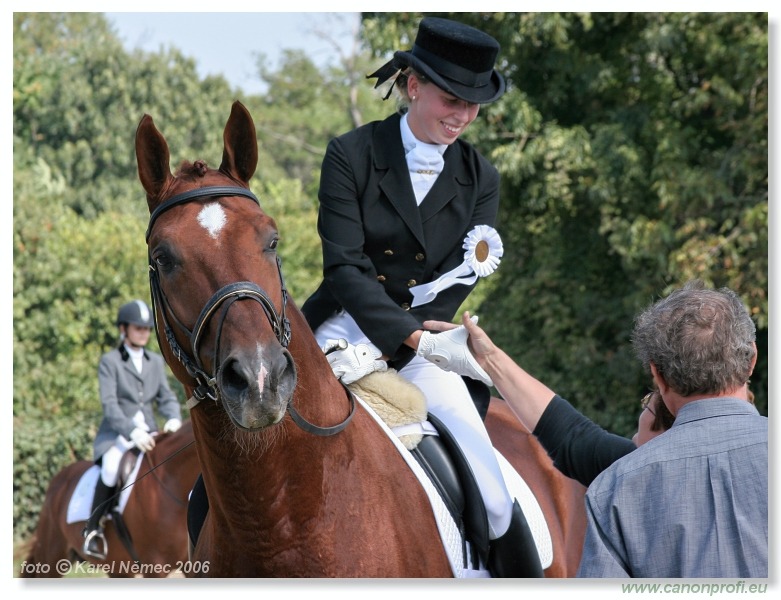 Drezúra - Dressage 2006