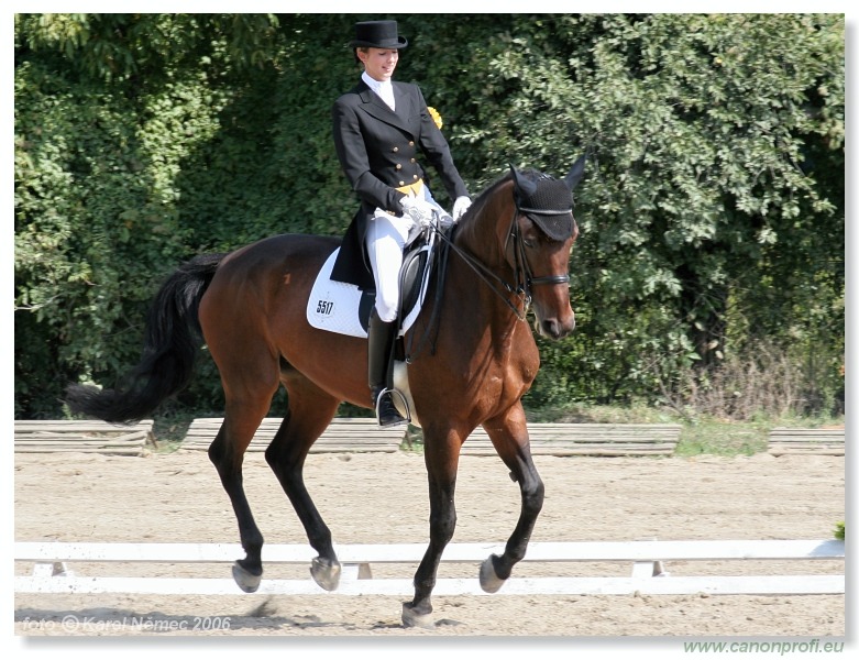 Drezúra - Dressage 2006