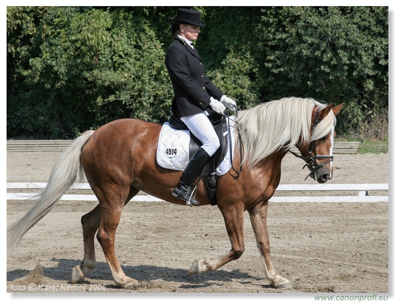 Drezúra - Dressage 2006