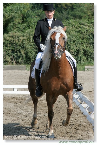 Drezúra - Dressage 2006