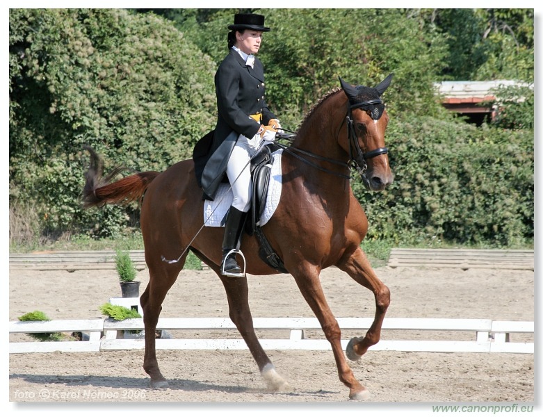 Drezúra - Dressage 2006