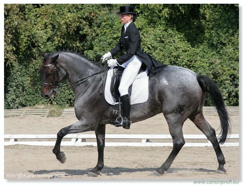 Drezúra - Dressage 2006