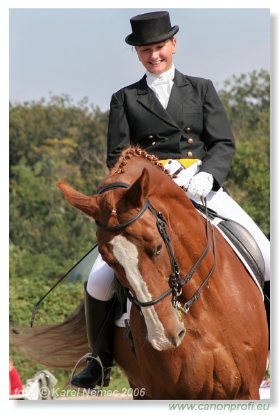 Drezúra - Dressage 2006
