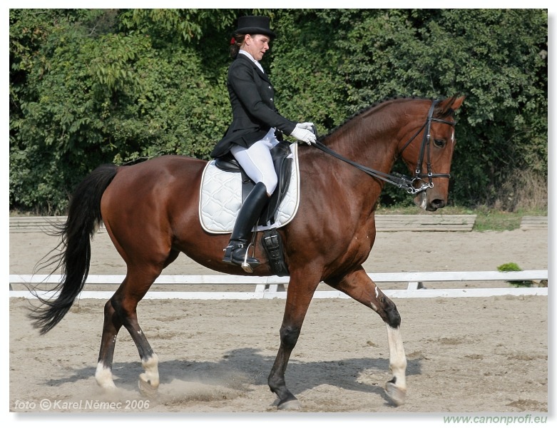 Drezúra - Dressage 2006
