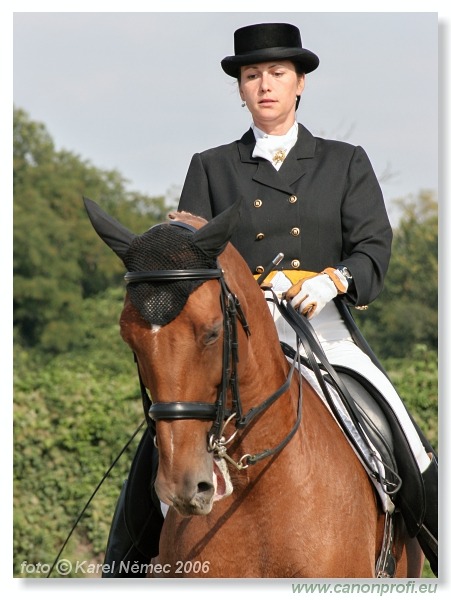 Drezúra - Dressage 2006